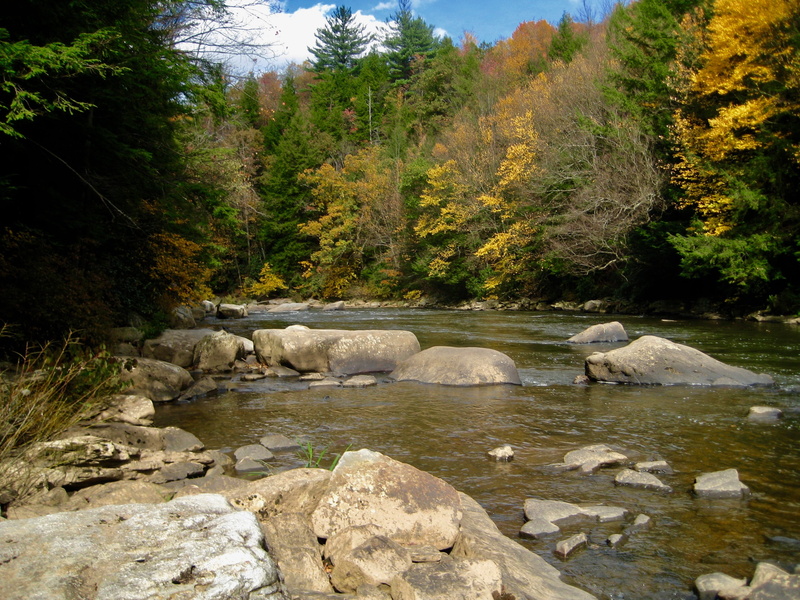 tranquility, no people, flowing water, flowing, swallow falls, shallow, maryland, land, deep creek, tranquil scene, tree, united states, lake, fall, plant