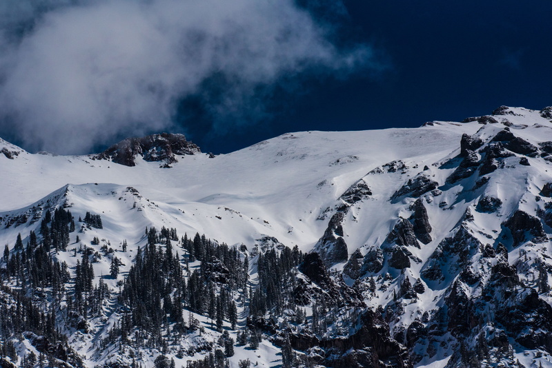 s, mountains, white color, ridge, cold, bird, nature, mountain, winter, united state, cold temperature, eye, landscape, trees, 5K, ouray, no people, tranquil scene