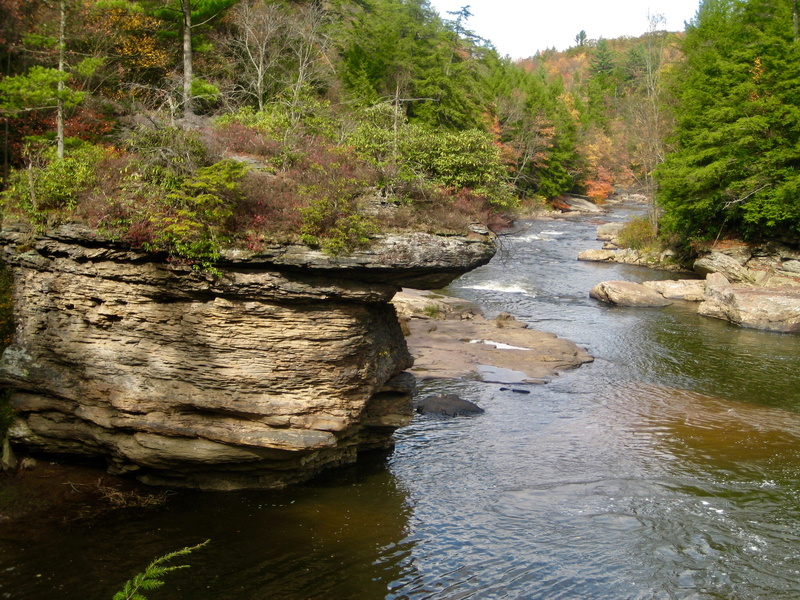rock - object, river, day, scenics - nature, land, growth, tranquility, maryland, potomac river, forest, flowing water, beauty in nature, tree, plant, 2K