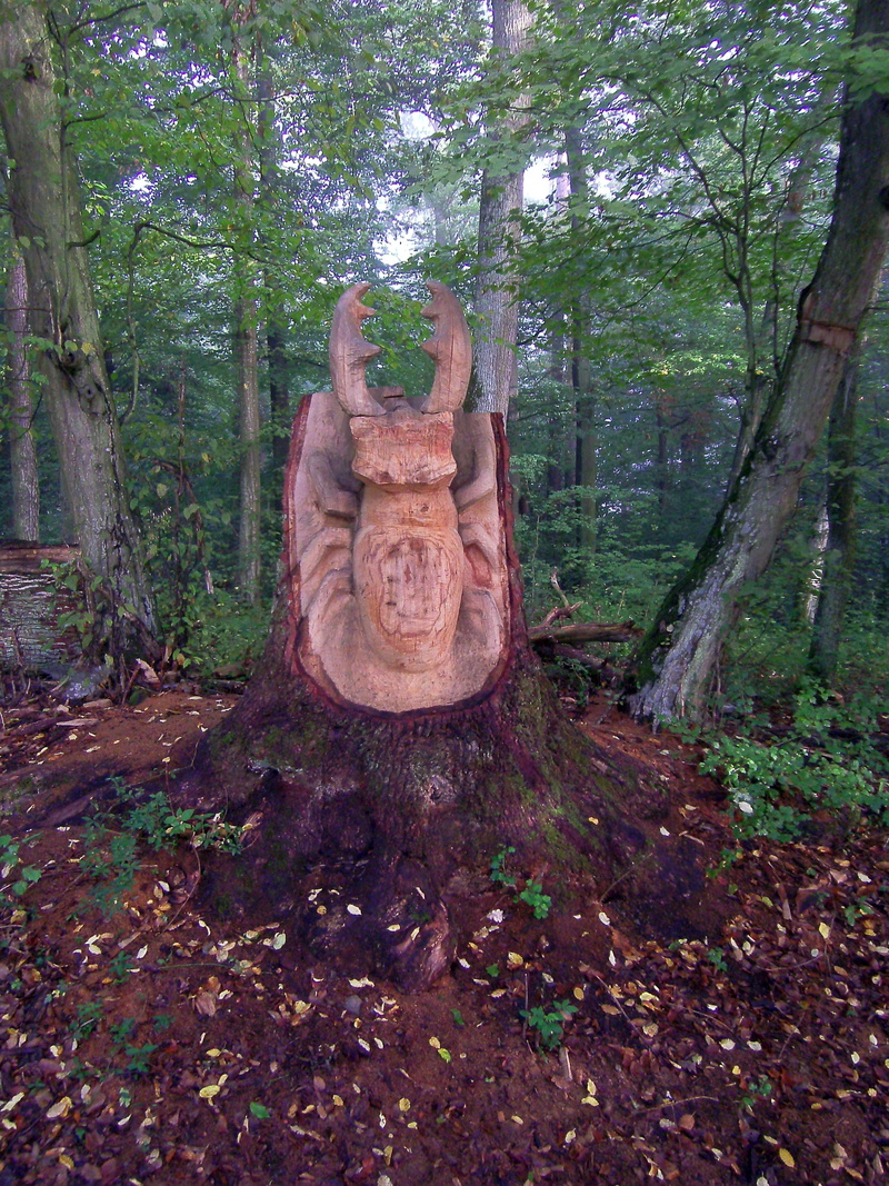 beetle, tree trunk, art, art and craft, no people, land, carvings, trunk, tree, plant, 2K, carving, sculpture, creativity, representation, tranquility
