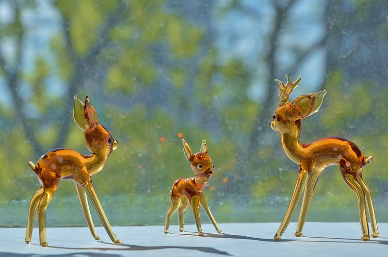 deer, day, group of animals, 4K, motion, domestic animals, beauty in nature, mammal, nature, animal wildlife, no people, young animals, water, art and craft