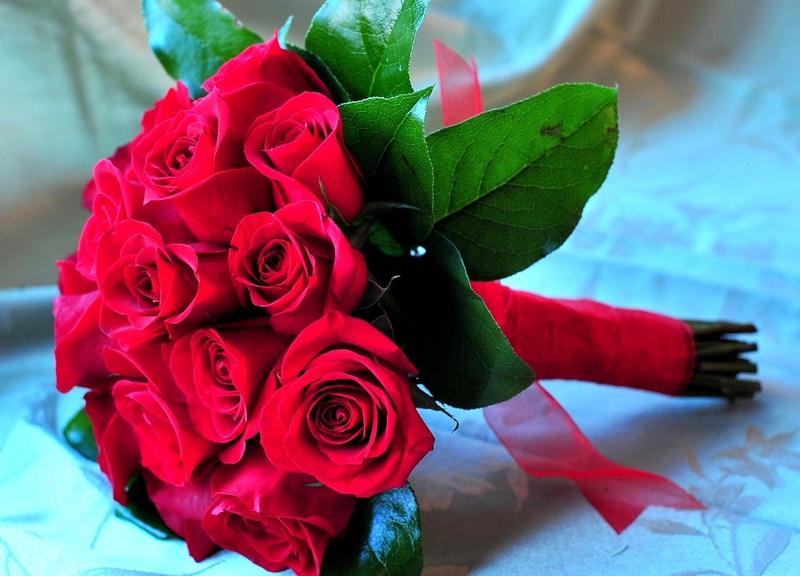backgrounds, close-up, rose - Flower, single Flower, plant, red, bunch of flowers, nature, flowering plant, decoration, 1080P, flower arrangement, freshness