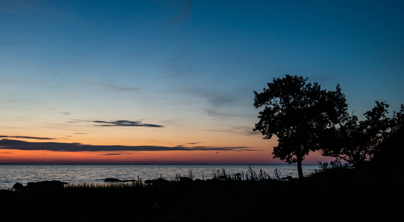 nature, beauty in nature, outdoors, water, summer, land, horizon, plant, Öland, nikon, tranquility, no people, coastline, sky, cloud - sky, 5K, tranquil scene