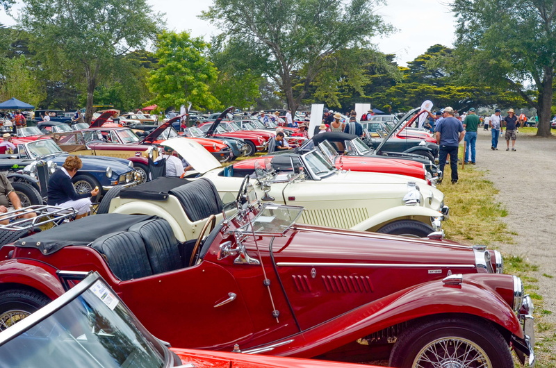 nature, land vehicle, car show, day, mg, plant, motor vehicle, in a row, tree, incidental people, mg tc, red, mornington peninsula, large group of people