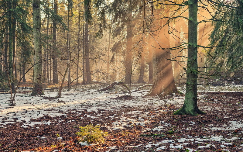 1080P, unbelievably beautiful pictures nature 1920x1200