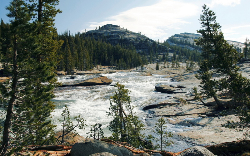 nature, unbelievably beautiful pictures nature 1920x1200, outdoors, scenics - nature, growth, flowing water, forest, land, tranquility, no people, water