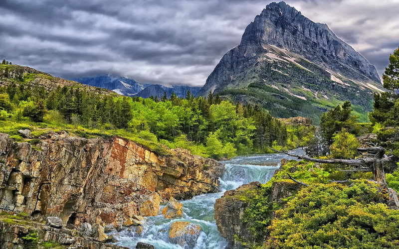 stream - flowing water, beauty in nature, day, river, 1080P, mountain, plant, outdoors, unbelievably beautiful pictures nature 1920x1200, tree, flowing