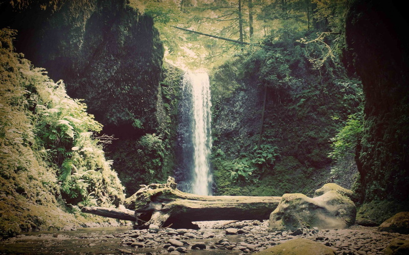 waterfall, scenics - nature, tree, flowing, non-urban scene, plant, beauty in nature, nature, rock - object, water, long exposure, blurred motion, land