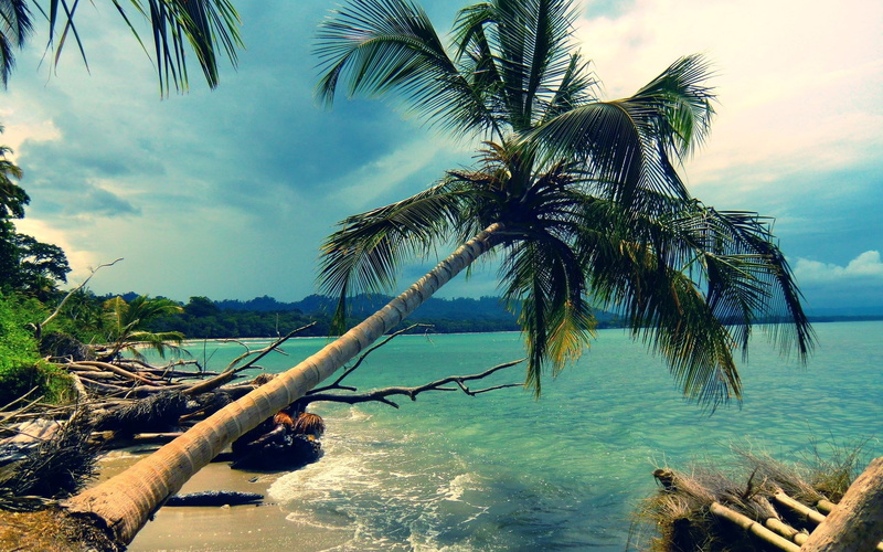 1080P, unbelievably beautiful pictures nature 1920x1200