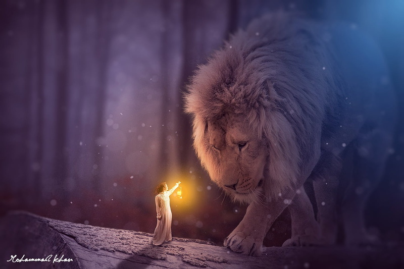 cold temperature, photo manipulation, fantasy girl, night, nature, lion, winter, MohammadKhan, animals in the wild, vertebrate, no people, snow, animal wildlife