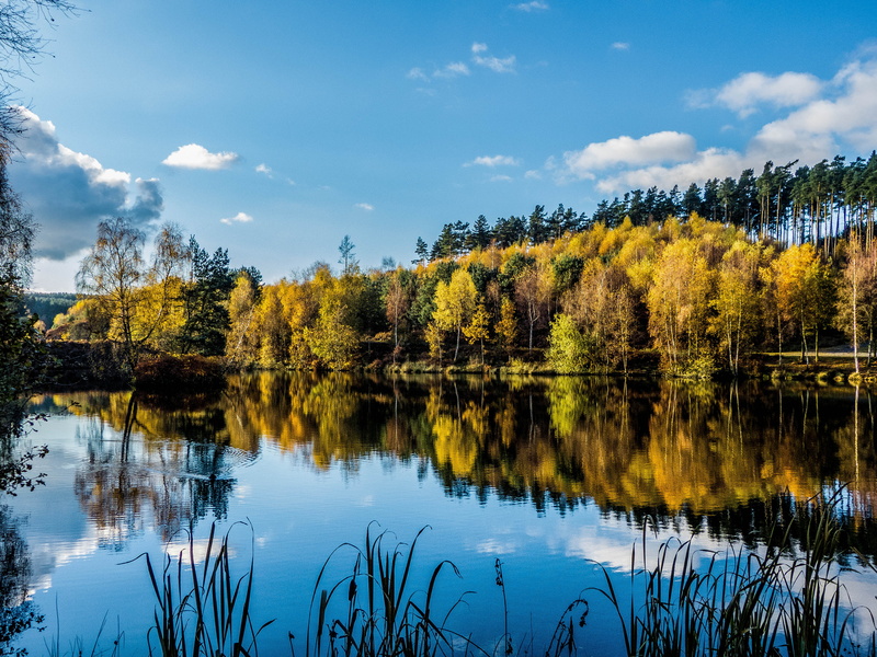 nature, yellow, clear, cumulus clouds, trees, outdoors, pool, beauty In Nature, summer, body, best, reflection, clouds, forest, tranquil Scene, landscape