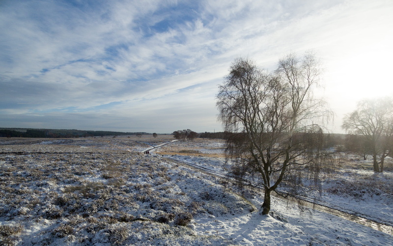 landscape, snow, united kingdom, cannock chase district, frozen, tranquility, water, outdoors, covering, cannock chase, no people, sky, silhouette, 4K