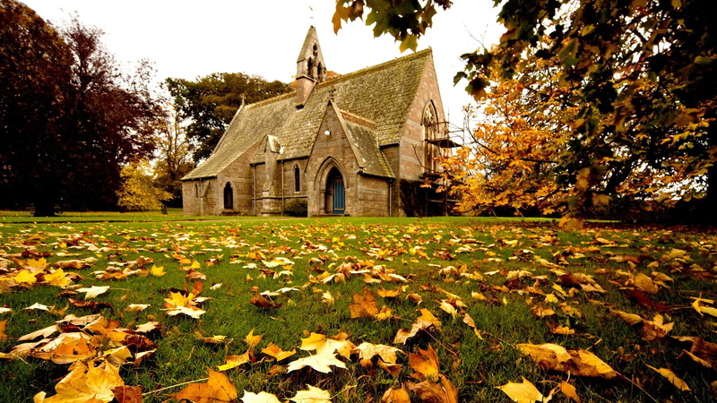arch, fallen leaves, building, architecture, 1080P, scaffolding, british isle, seasons, church, autumn, plants