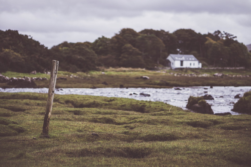 white cottage, housing, grass, sky, built structure, beauty in nature, plant, architecture, scenics - nature, nature, british coast, moorland, outdoors