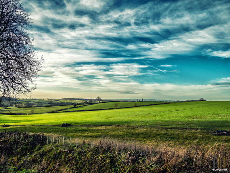 farm, Leicester, Skies, outdoors, white, Landscape, Midlands, blue, Light, Cloudscape, 5K, rural Scene, Landscapes, meadow, grass field, cloud - Sky, field