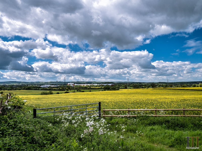 grass, Panasonic, daytime, scenics, meadow, Cloudscape, Field, Landscaping, Nature, sky, outdoors, Landscapes, cloudy, farm, rural Scene, agriculture, summer