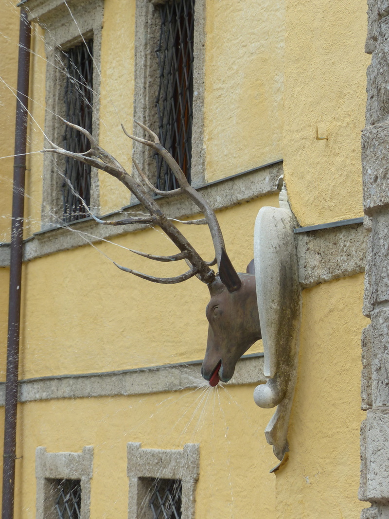 low angle view, animal themes, austria, inject, animal wildlife, animals in the wild, outdoors, one animal, fun, water, built structure, building, no people