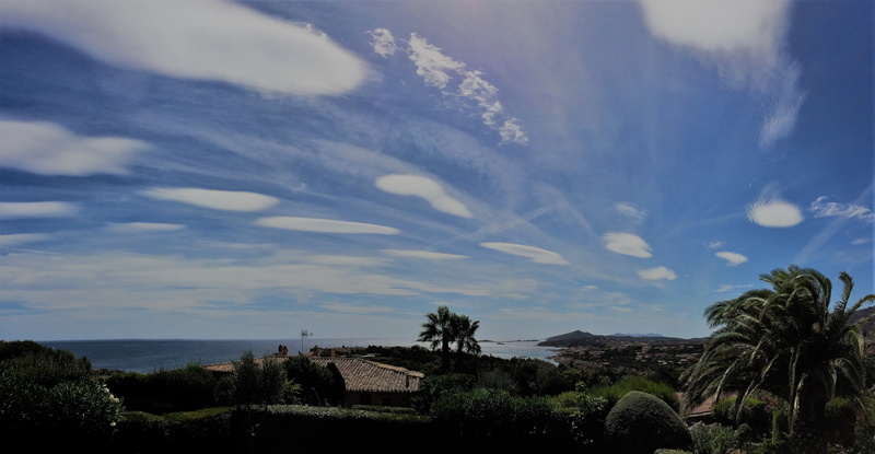 Sardinia, palm trees, Porto Cervo, 4K, sea, nature, sky
