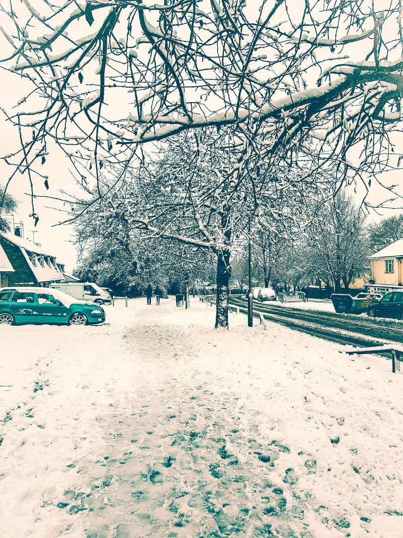mode of transportation, nature, one person, bare tree, motor vehicle, car, city, white color, london, winter, covering, transportation, architecture, tree
