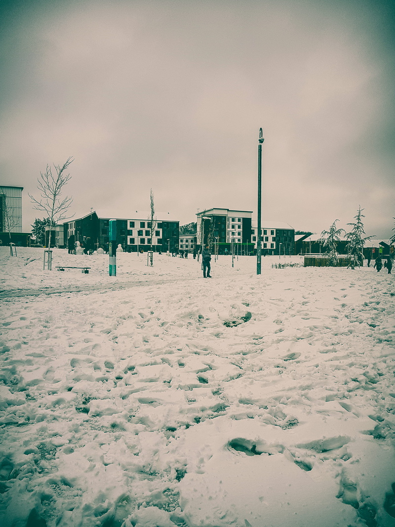 2K, campus is white, no people, cold temperature, building, building exterior, sky, cold, day, nature, architecture, ice, london, covering, herts, winter