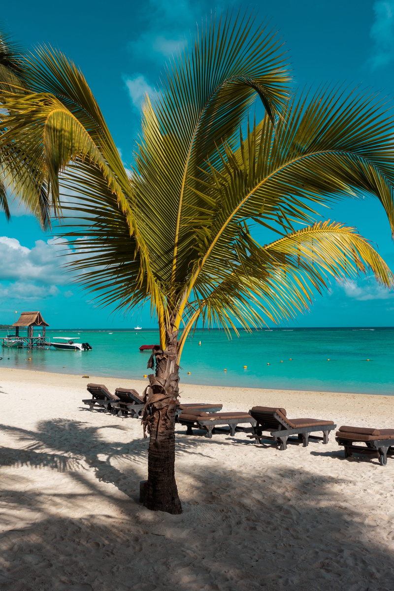 outdoors, palm tree, sunlight, holidays, yellow, scenics - nature, blue, sea, sand, turquoise colored, tree, water, tranquil scene, horizon over water