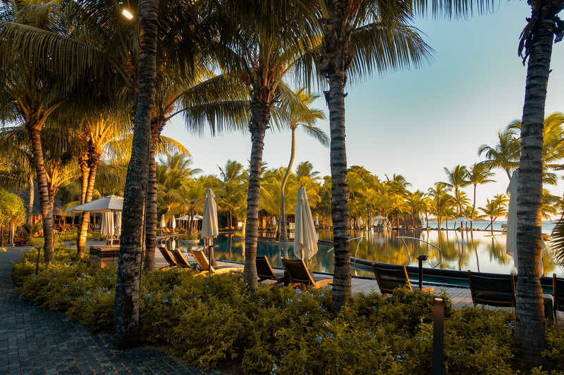 umbrella, flora, sky, no people, park, water, tree, chaise lounge, tropical climate, beauty in nature, tree trunk, hotel, outdoors, trunk, park - man made space