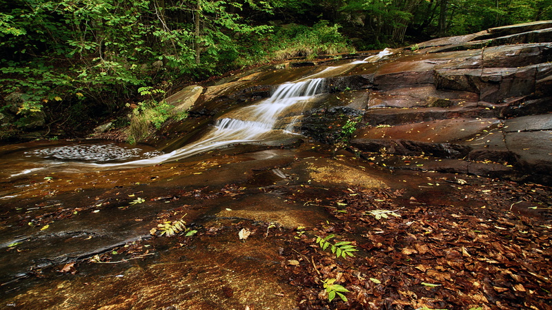 5K, nature, water, brown, Santa Fe, scenics, stream, A77, green Color, agua, illustration, leaf, Sony, outdoors, corriente, de, rock - Object, tree, Montseny