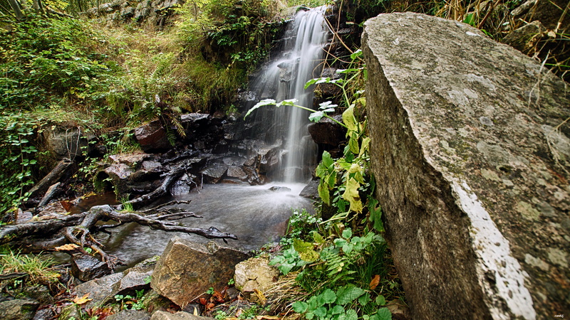 Salto de agua, lapse, Montseny, salto, stream, 5K, tree, Riera, moss, rock - Object, waterfall, cascada, time, A77, water falls, de, agua, Aire libre