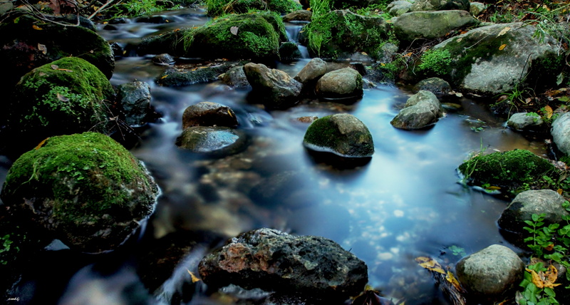black, Sant Feliu, el, water, landscape, Sony, daytime, freshness, el rio, green Color, green, nature, scenics, black stones, en, stream, Raco, river, forest