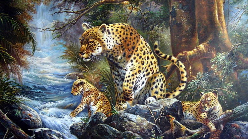 panthers, 1080P, cubs, tiger, wild, jaguar, habitat, big cats, small cats, animals, lion, leopards, wildlife, nature, spots