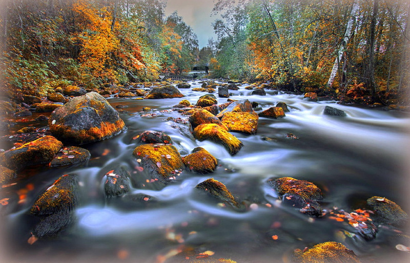 nature, along, creative-pre--ma, leaves, rivers, 2K, fall-season, trees, finland, splendid, photography, river, place, beautiful