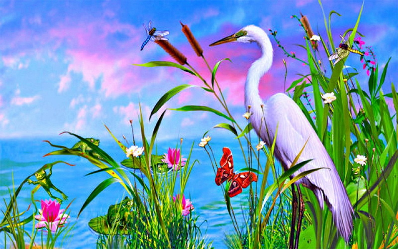flowers, splendid, landscapes, bird, softness-beauty, 1080P, scenery, weird-things-people-wear, creative-pre--made, grass, drawings