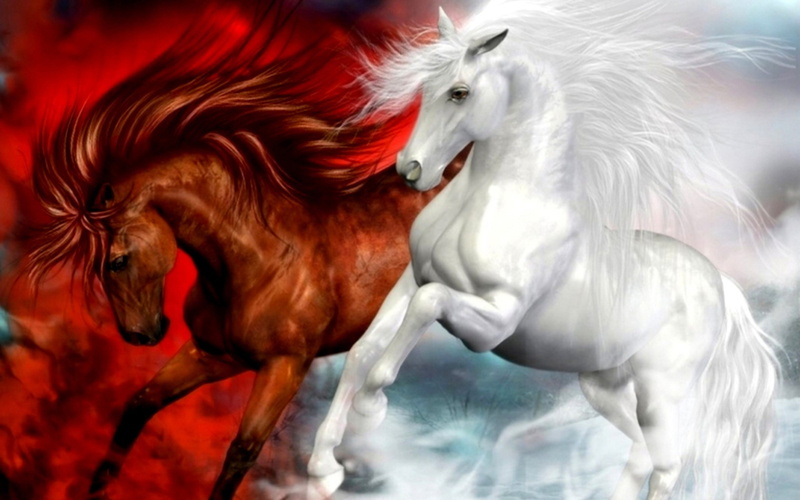  horse, art, hd, fantasy, splendid, horses, red, 4K, white