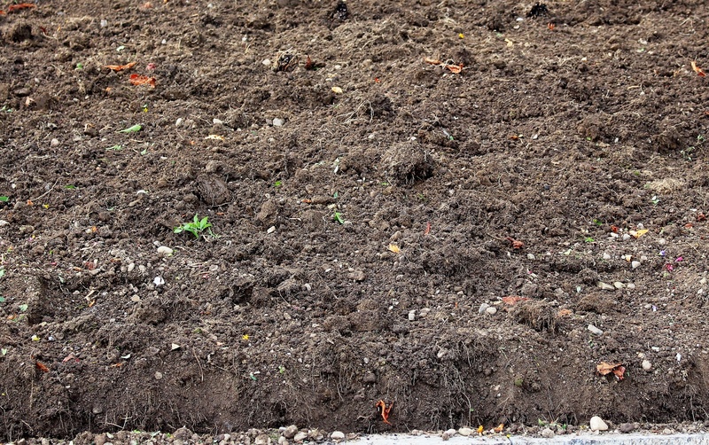 humus, growth, brown, textured, close-up, outdoors, arable, soil, tranquility, plant, autumn, full frame, day, concrete, high angle view, rough, field