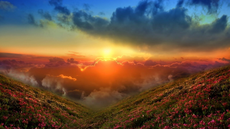 ridge, mountains, flowers, sunset, skies, clouds, spectacular, nature and landscapes, 1080P