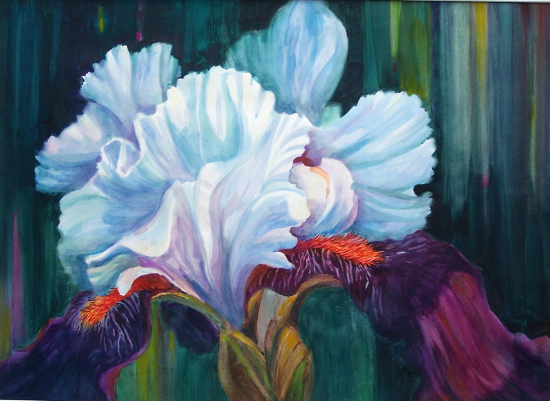 show, leaves, bearded, grand, colours, white, texture, 1080P, spectacular, soft, iris, stunning, flower, painting, spring, lilies, floral
