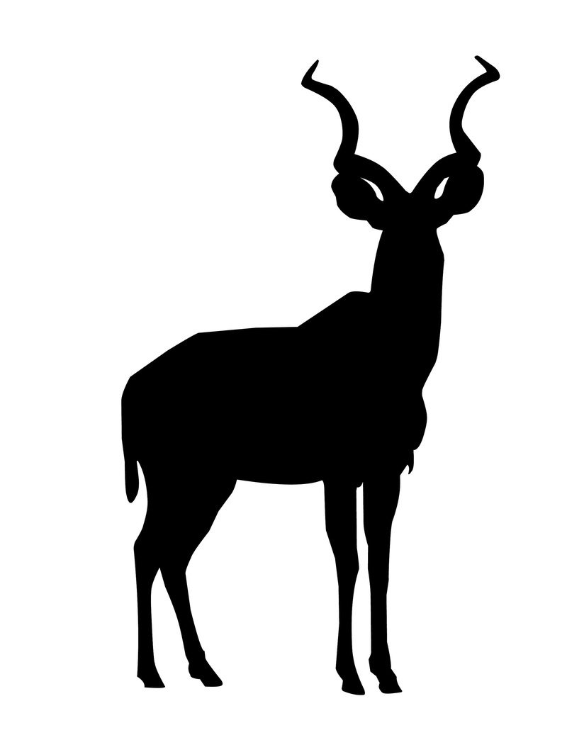 one animal, african, vertebrate, 2K, hunted, mammal, domestic animals, savannah, copy space, look, horned, wildlife, hooves, kudu, silhouette, deer, animal representation