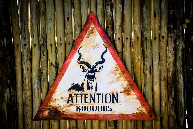 male likeness, rusty, 4K, no people, hanging, text, human representation, wood - material, boundary, close-up, metal, brand, information, kudu, rust, communication