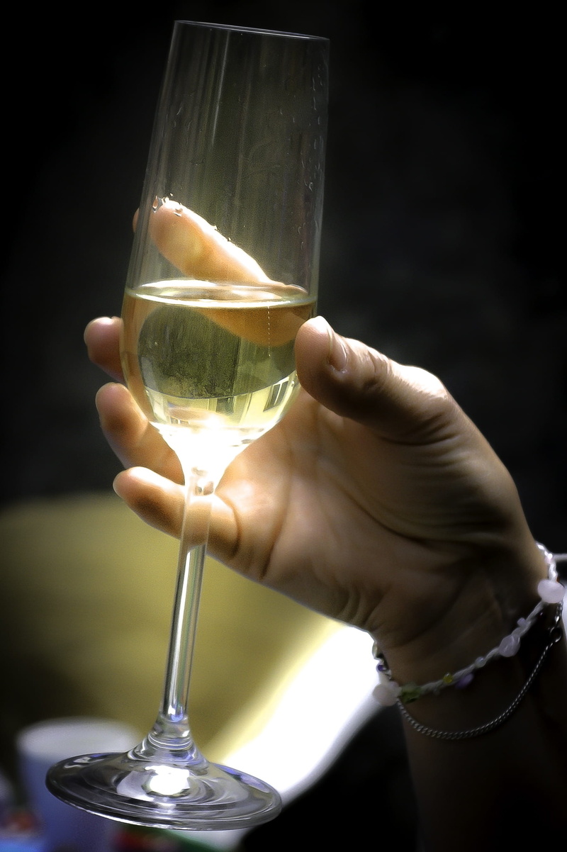 glass, one person, drinking Glass, Vineyard, hand, Celebration, champagne, glass - material, refreshment, celebratory Toast, finger, Vine, food and drink