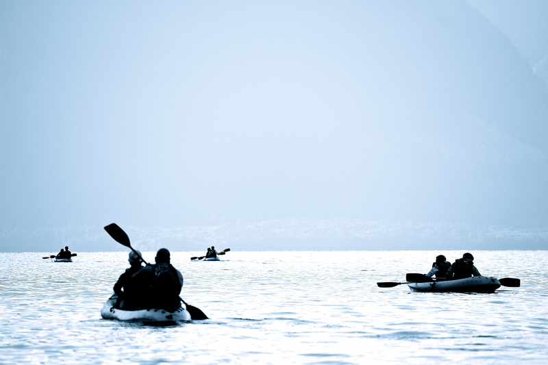 day, animal themes, medium group of people, 5K, paddling, eight, boat, clear sky, outdoors, horizon over water, four, horizon, silhouette, riding, daytime