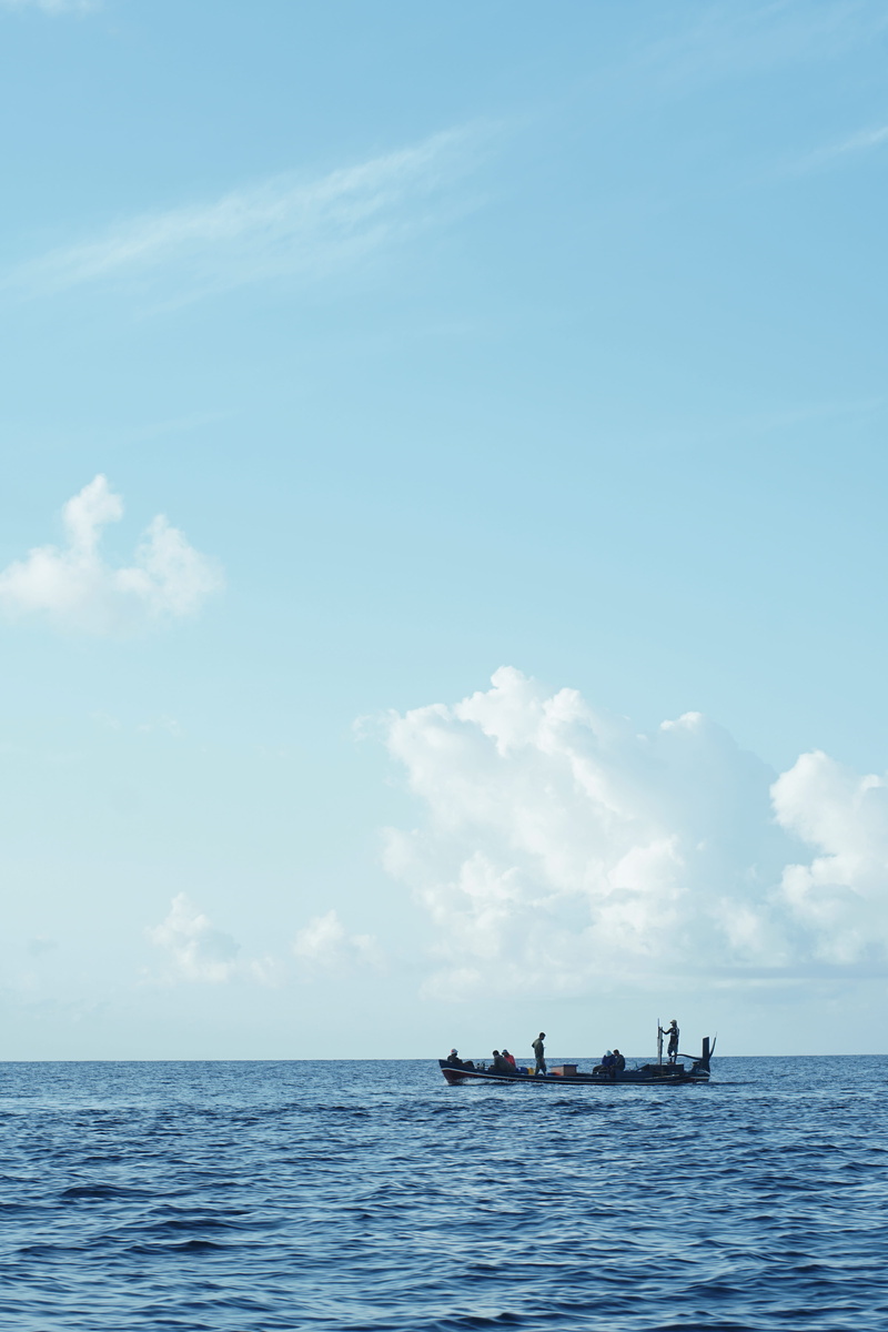 beauty in nature, horizon, silhouette, horizon over water, nautical vessel, outside, back, sky, person, boat, group, fish, tranquility, transportation