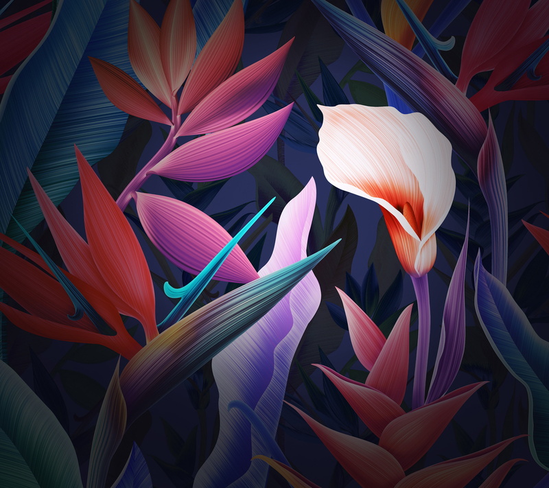 Leaves, 2K, Huawei Mate 10, Flowers, HD, Colorful, Stock