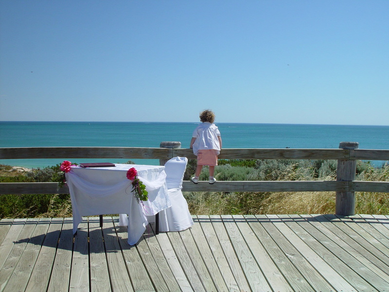 looking at view, wearing, rail, web, clear sky, outdoors, dining table, sea, green, wide, green grass, beach, full length, water, grass, gray, blue, horizon