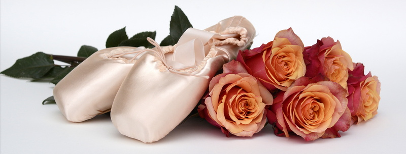 rose - flower, flower, day, no people, emotion, flower arrangement, valentines day - holiday, ballet shoes, indoors, flowers, beauty in nature, header