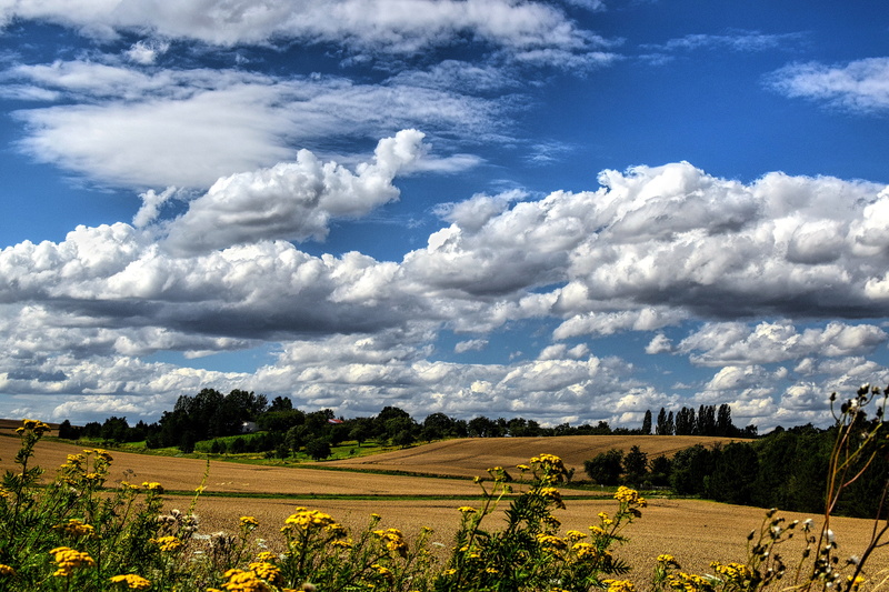 outdoors, enthusiasm, mood, distant, sky, no people, nature, rural scene, 5K, unreal, plant, non-urban scene, romance, land, scenics - nature, tranquility