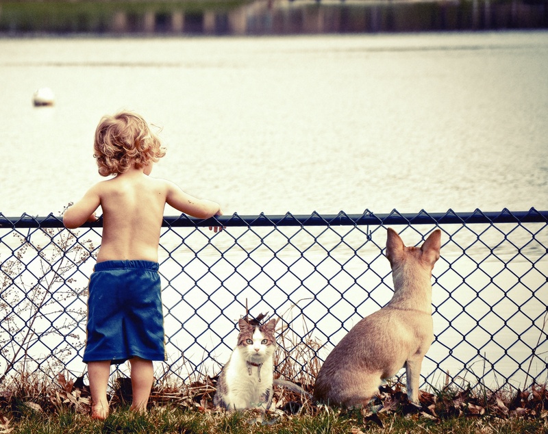 front, men, lake, white, 1080P, outdoor, cat, laugh, childhood, innocence, gray, child, cute, full length, children, blue, daytime, shorts, leisure activity