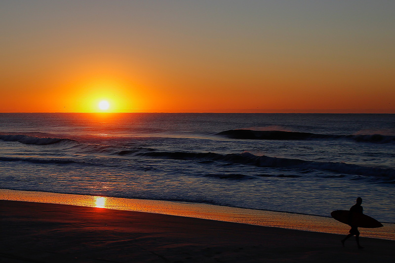 sea, litoral, sunset, vertebrate, brazil, 5K, land, sky, nature, horizon over water, Sunrise, seagull, scenics, scenics - nature, sun, animals in the wild