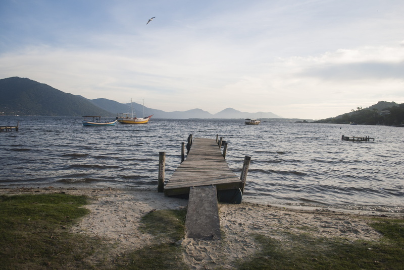 Sc, animal, eco, Brazil, nature, no people, animal themes, brasil, santa catarina, wood - material, Sea, day, color image, panoramic, santa, water, wave