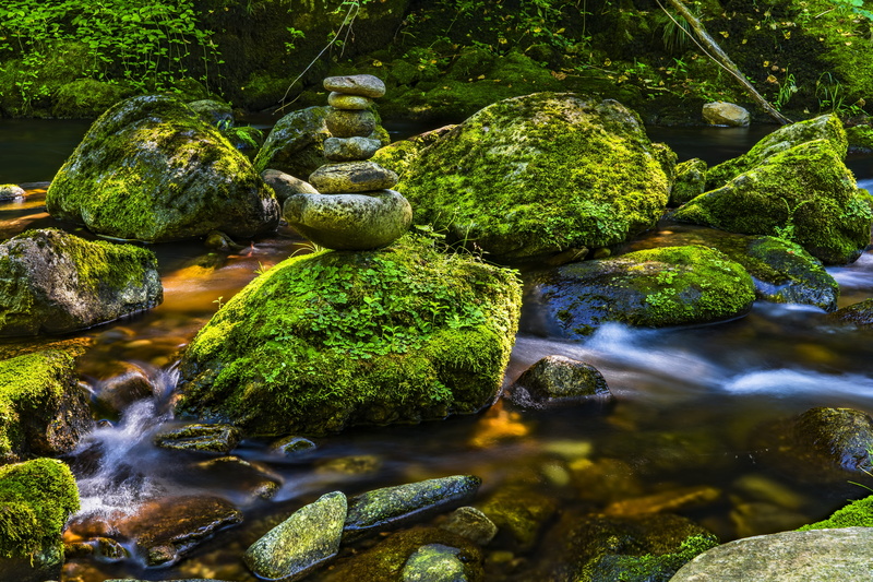 background image, growth, water games, moss, plant, tree, forest, river, rock, outdoors, waterfall, background, pebble, atmosphere, landscape, romantic