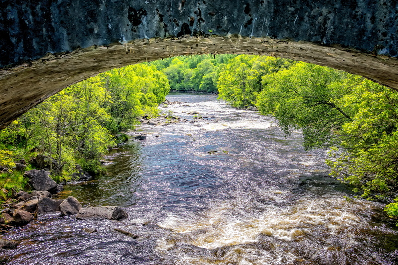 movement, tree, rock, land, leave, scenics - nature, bank, running water, plant, growth, murmur, Landscape, fluent, idyllic, 5K, mountains, water, trees